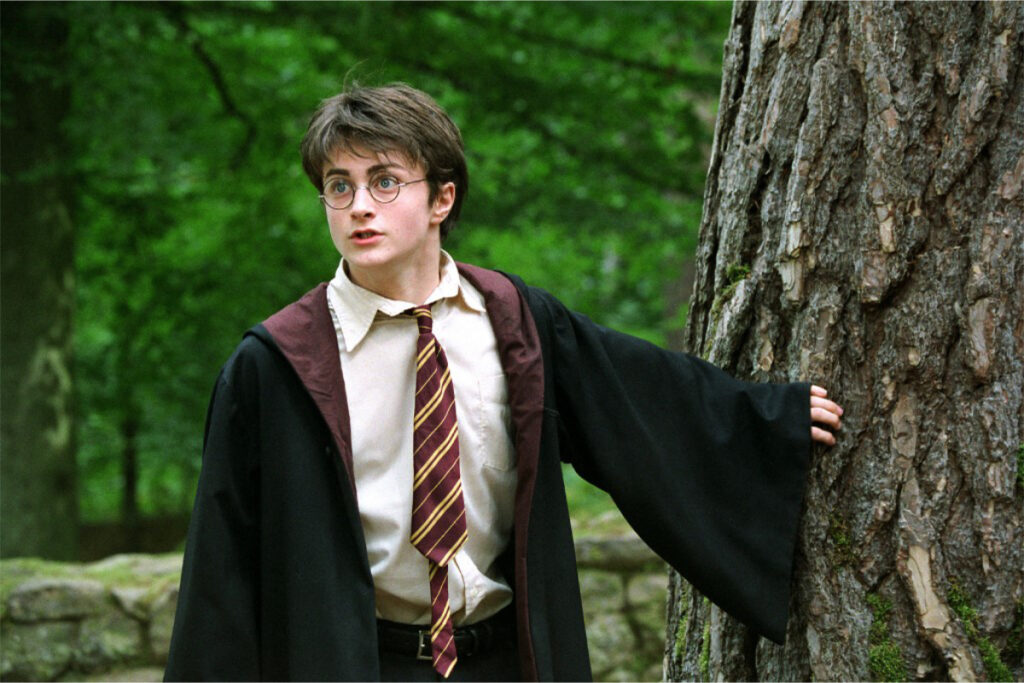 Harry Potter dublado